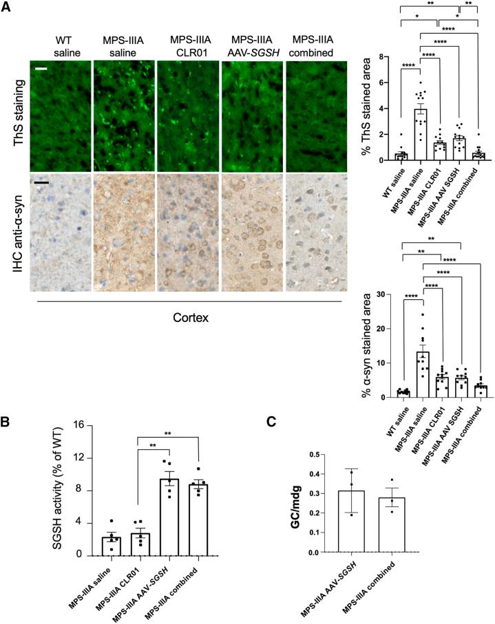https://cdn.ncbi.nlm.nih.gov/pmc/blobs/b8e0/11573617/e3010e58c074/gr4.jpg