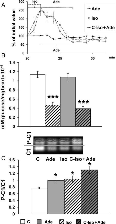 https://cdn.ncbi.nlm.nih.gov/pmc/blobs/b8e0/2952531/38bb97276978/cvq19004.jpg