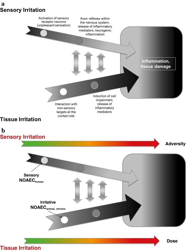 https://cdn.ncbi.nlm.nih.gov/pmc/blobs/b8e0/4161939/1444fc87ee95/204_2014_1346_Fig3_HTML.jpg