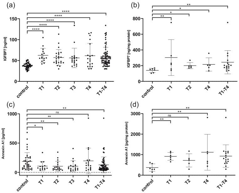 https://cdn.ncbi.nlm.nih.gov/pmc/blobs/b8e3/11171163/311d391331ac/cancers-16-02028-g001.jpg