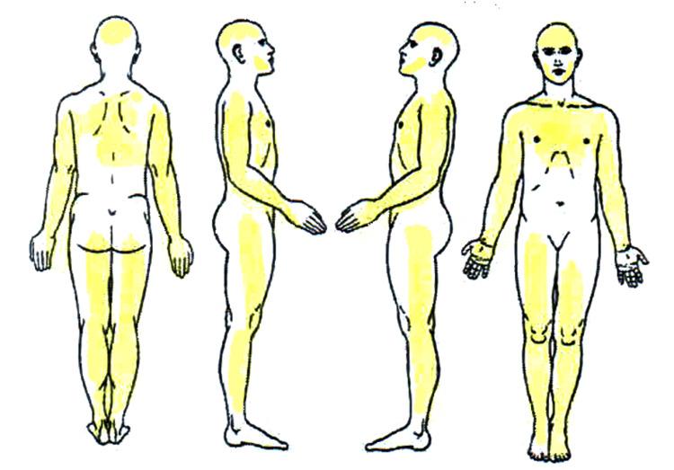 https://cdn.ncbi.nlm.nih.gov/pmc/blobs/b8e5/12146906/86d92b11962f/cureus-0017-00000083824-i01.jpg