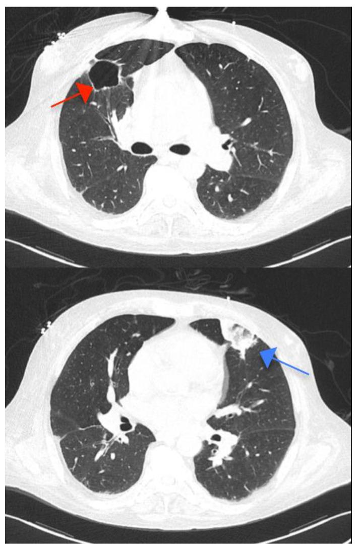 https://cdn.ncbi.nlm.nih.gov/pmc/blobs/b8e6/9570338/cb3c40f03fd3/ijms-23-11127-g005.jpg