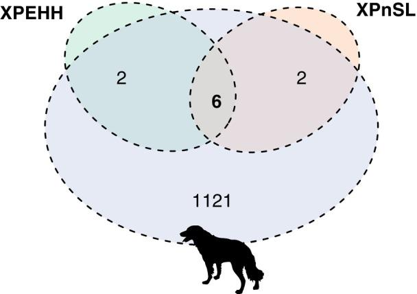 https://cdn.ncbi.nlm.nih.gov/pmc/blobs/b8e7/12143369/045fe05c35bf/MEC-34-e17639-g002.jpg