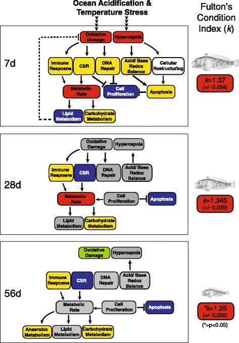 https://cdn.ncbi.nlm.nih.gov/pmc/blobs/b8e7/4761167/d80089fc38d2/12864_2016_2454_Fig8_HTML.jpg