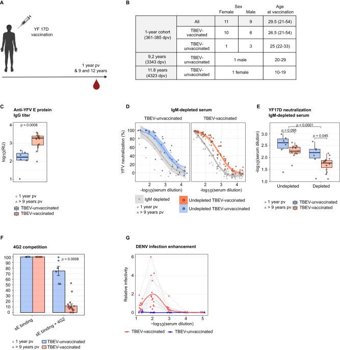 https://cdn.ncbi.nlm.nih.gov/pmc/blobs/b8e8/10894228/65c10a56abdb/41467_2024_45806_Fig7_HTML.jpg
