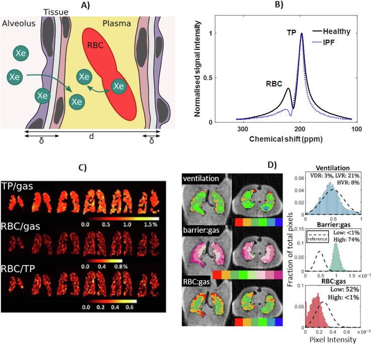 https://cdn.ncbi.nlm.nih.gov/pmc/blobs/b8e8/7933823/e448e7fcdac5/gr4.jpg
