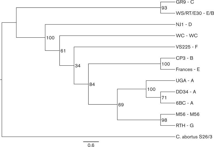 https://cdn.ncbi.nlm.nih.gov/pmc/blobs/b8e9/4635502/baa12260bd9e/mic-161-07-1378-g005.jpg