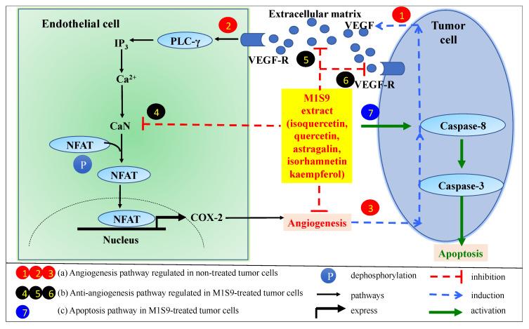 https://cdn.ncbi.nlm.nih.gov/pmc/blobs/b8ea/7601446/6ea15c483640/nutrients-12-02993-g004.jpg