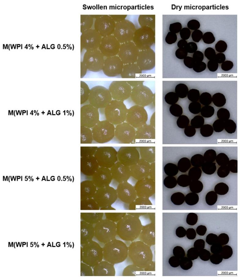 https://cdn.ncbi.nlm.nih.gov/pmc/blobs/b8eb/11120854/7707e1881ca7/ijms-25-05325-g001.jpg