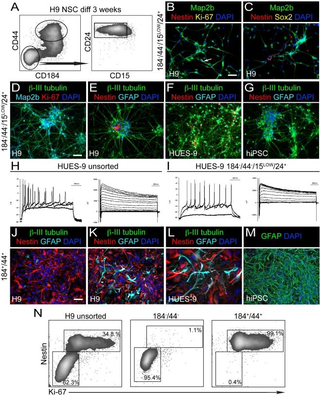 https://cdn.ncbi.nlm.nih.gov/pmc/blobs/b8ed/3047583/1f922f747319/pone.0017540.g003.jpg