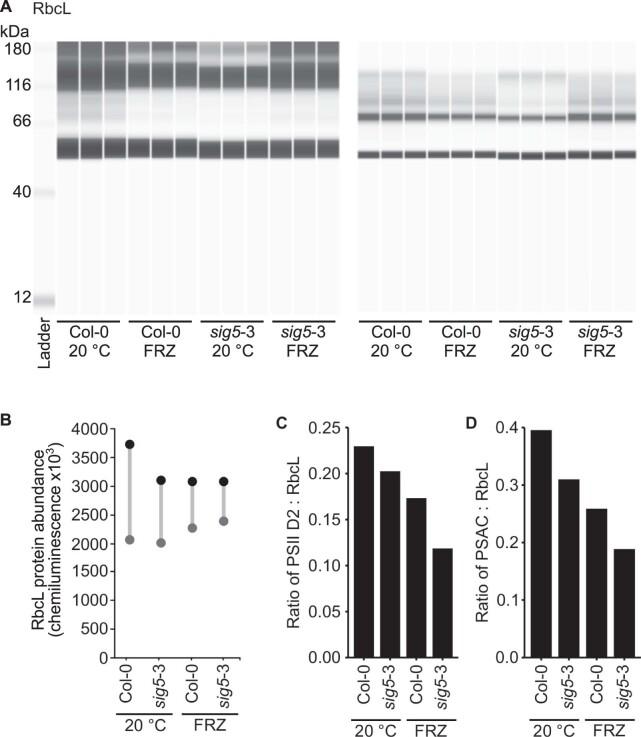 https://cdn.ncbi.nlm.nih.gov/pmc/blobs/b8ee/10119024/af0581cfd763/41477_2023_1377_Fig11_ESM.jpg