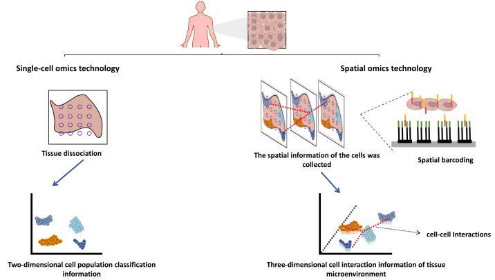 https://cdn.ncbi.nlm.nih.gov/pmc/blobs/b8ee/11404479/a3f8aacae83c/peerj-12-17860-g002.jpg