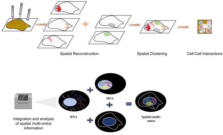 https://cdn.ncbi.nlm.nih.gov/pmc/blobs/b8ee/11404479/e1710dcb7086/peerj-12-17860-g006.jpg
