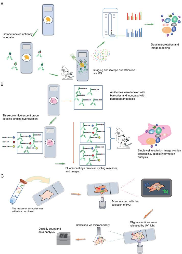 https://cdn.ncbi.nlm.nih.gov/pmc/blobs/b8ee/11404479/f96b8a9793c7/peerj-12-17860-g004.jpg