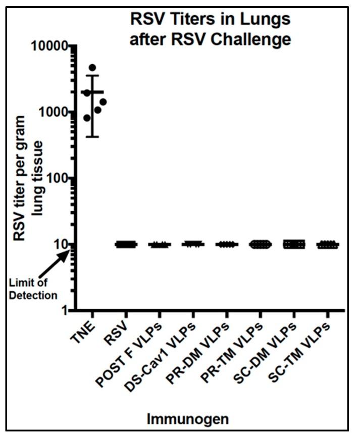 https://cdn.ncbi.nlm.nih.gov/pmc/blobs/b8ee/6466353/c5340a3f88f9/vaccines-07-00021-g009.jpg