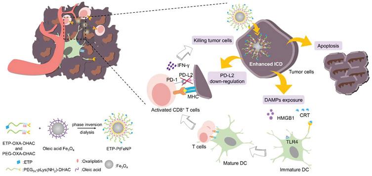 https://cdn.ncbi.nlm.nih.gov/pmc/blobs/b8ef/7910111/75b1baab8bcd/IJN-16-1435-g0003.jpg