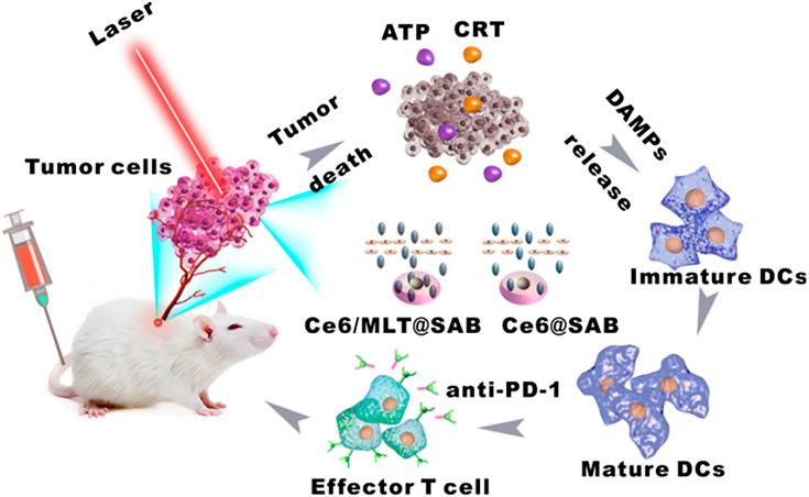 https://cdn.ncbi.nlm.nih.gov/pmc/blobs/b8ef/7910111/78f991143e6b/IJN-16-1435-g0006.jpg
