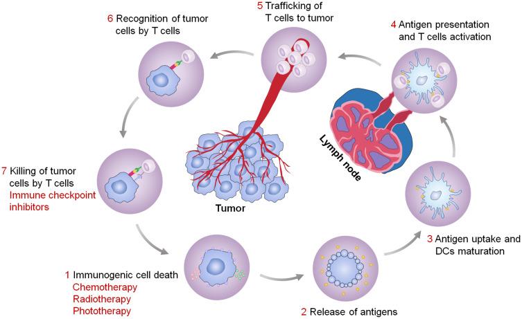 https://cdn.ncbi.nlm.nih.gov/pmc/blobs/b8ef/7910111/a5f440379d4c/IJN-16-1435-g0001.jpg