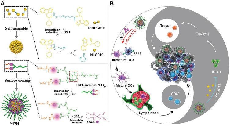 https://cdn.ncbi.nlm.nih.gov/pmc/blobs/b8ef/7910111/e42c358cba95/IJN-16-1435-g0004.jpg