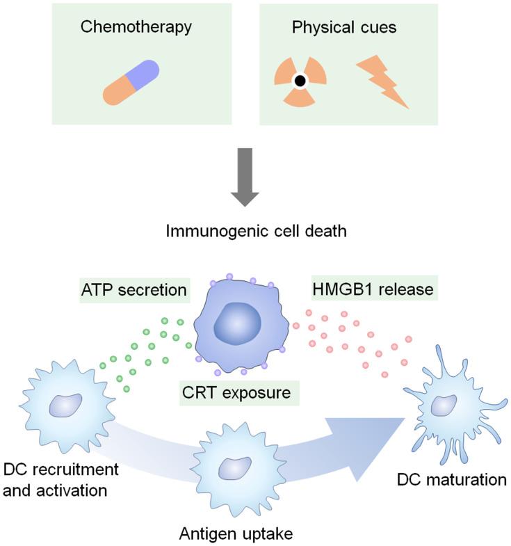 https://cdn.ncbi.nlm.nih.gov/pmc/blobs/b8ef/7910111/ef2ec4efcee6/IJN-16-1435-g0002.jpg