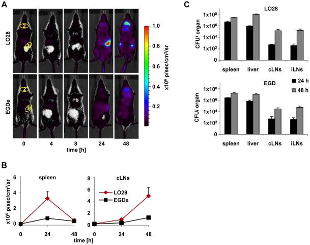 https://cdn.ncbi.nlm.nih.gov/pmc/blobs/b8f0/3073975/4652ca6cde99/pone.0018543.g001.jpg
