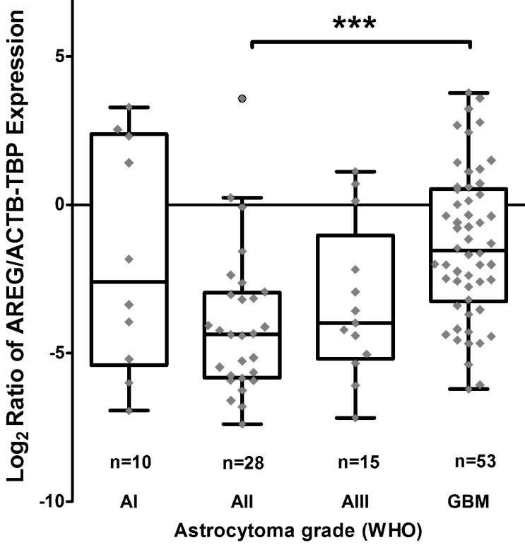 https://cdn.ncbi.nlm.nih.gov/pmc/blobs/b8f0/6485216/5e1b6d6653cc/jcav10p1479g001.jpg