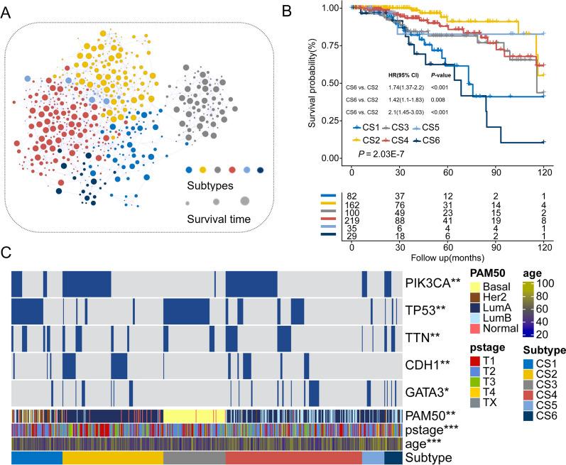 https://cdn.ncbi.nlm.nih.gov/pmc/blobs/b8f3/10799401/8622baf0814f/12967_2024_4864_Fig5_HTML.jpg