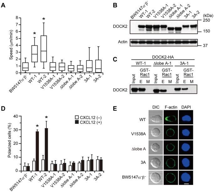 https://cdn.ncbi.nlm.nih.gov/pmc/blobs/b8f3/3458822/acc0d2be2776/pone.0046277.g003.jpg