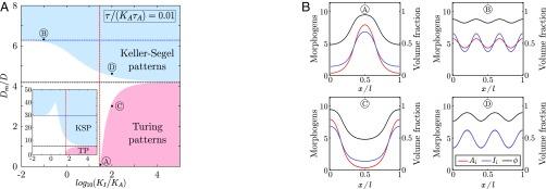 https://cdn.ncbi.nlm.nih.gov/pmc/blobs/b8f3/6431232/437befab3a56/pnas.1813255116fig02.jpg