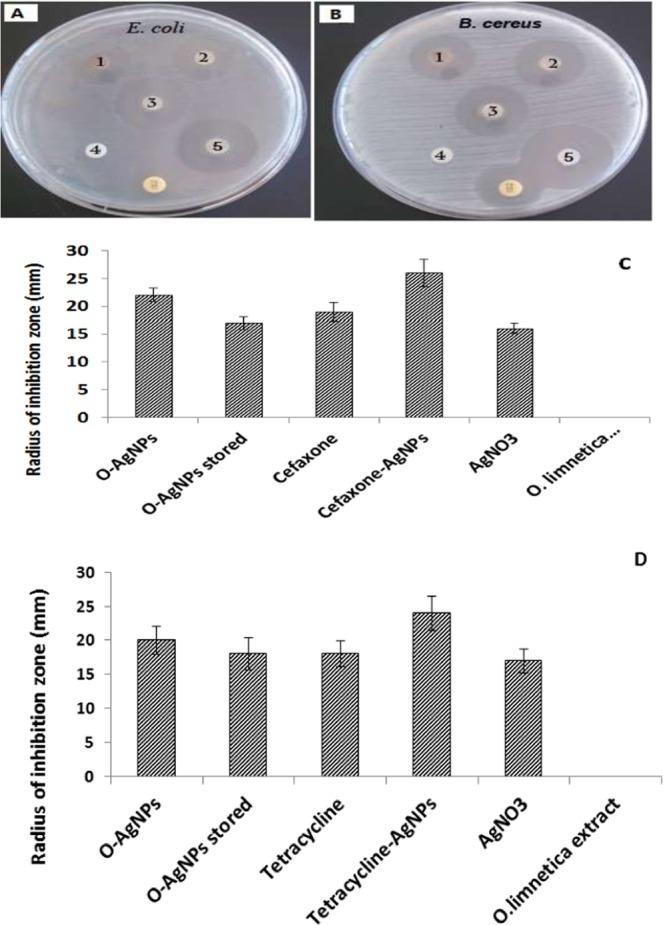 https://cdn.ncbi.nlm.nih.gov/pmc/blobs/b8f3/6736842/87be5c3aca59/41598_2019_49444_Fig6_HTML.jpg