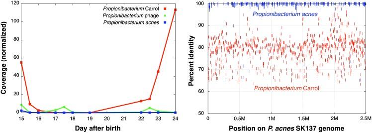 https://cdn.ncbi.nlm.nih.gov/pmc/blobs/b8f4/3530670/980a5457e39c/111fig4.jpg