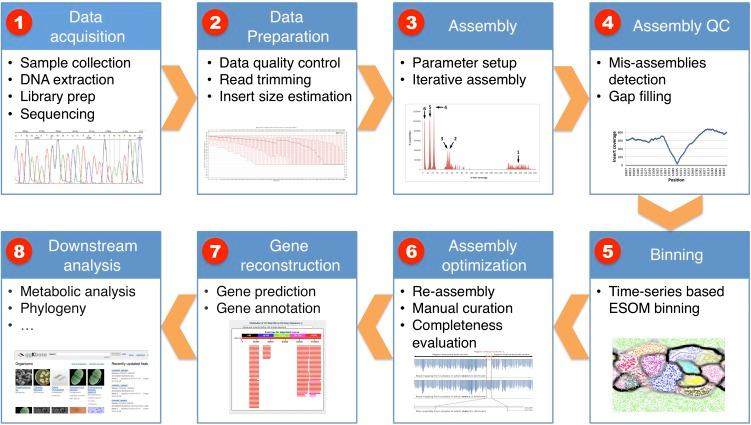 https://cdn.ncbi.nlm.nih.gov/pmc/blobs/b8f4/3530670/f533b0be1413/111fig6.jpg