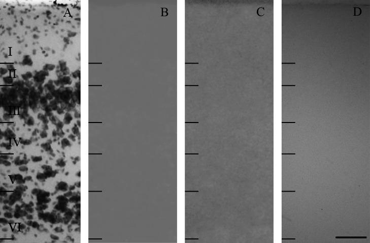 https://cdn.ncbi.nlm.nih.gov/pmc/blobs/b8f6/4564378/7871378be311/AHC14066f01.jpg
