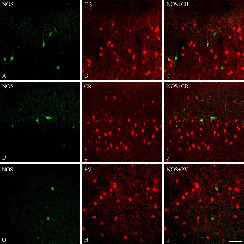 https://cdn.ncbi.nlm.nih.gov/pmc/blobs/b8f6/4564378/f1133293ca42/AHC14066f07.jpg