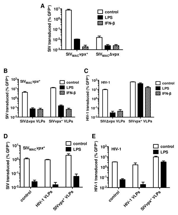 https://cdn.ncbi.nlm.nih.gov/pmc/blobs/b8fb/3130655/5c808364c0a1/1742-4690-8-49-4.jpg