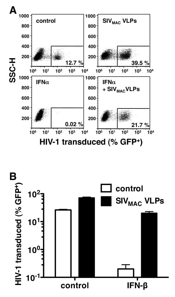https://cdn.ncbi.nlm.nih.gov/pmc/blobs/b8fb/3130655/f040be4e3548/1742-4690-8-49-1.jpg
