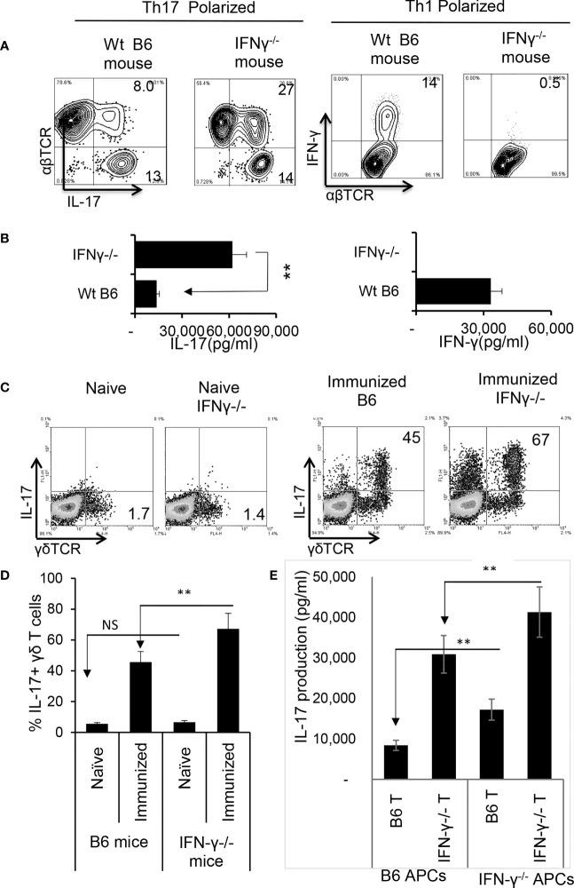 https://cdn.ncbi.nlm.nih.gov/pmc/blobs/b8fe/11194726/29ff4d9810d3/fopht-02-831084-g006.jpg
