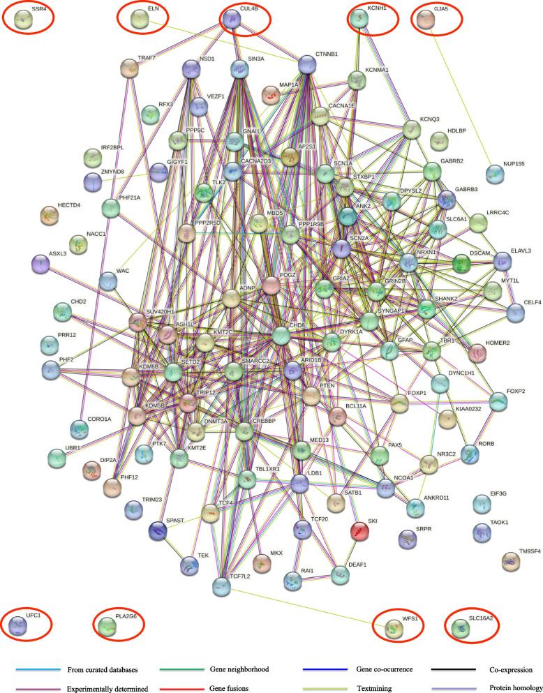 https://cdn.ncbi.nlm.nih.gov/pmc/blobs/b8ff/11103872/e26df438f4ab/13023_2024_3214_Fig4_HTML.jpg