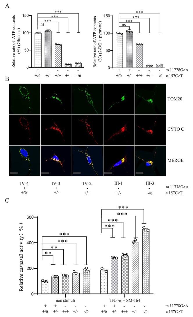 https://cdn.ncbi.nlm.nih.gov/pmc/blobs/b8ff/9840204/3ccb63413ad8/ddac190f5.jpg