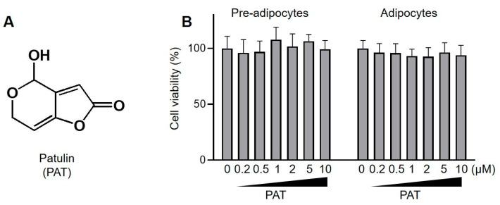 https://cdn.ncbi.nlm.nih.gov/pmc/blobs/b902/10526082/15ae00454414/antioxidants-12-01750-g001.jpg