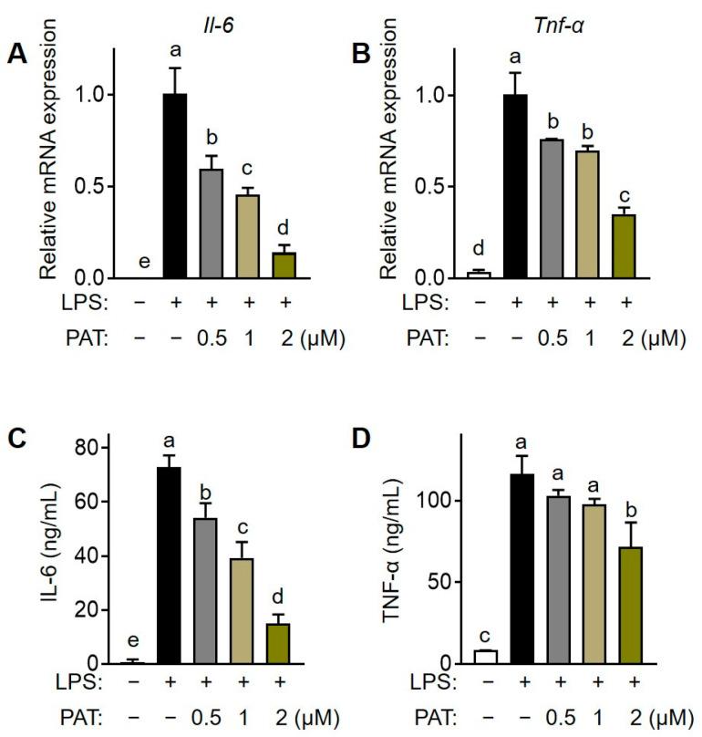 https://cdn.ncbi.nlm.nih.gov/pmc/blobs/b902/10526082/c5158707faba/antioxidants-12-01750-g007.jpg