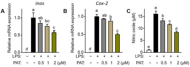 https://cdn.ncbi.nlm.nih.gov/pmc/blobs/b902/10526082/e5da523dcf58/antioxidants-12-01750-g008.jpg