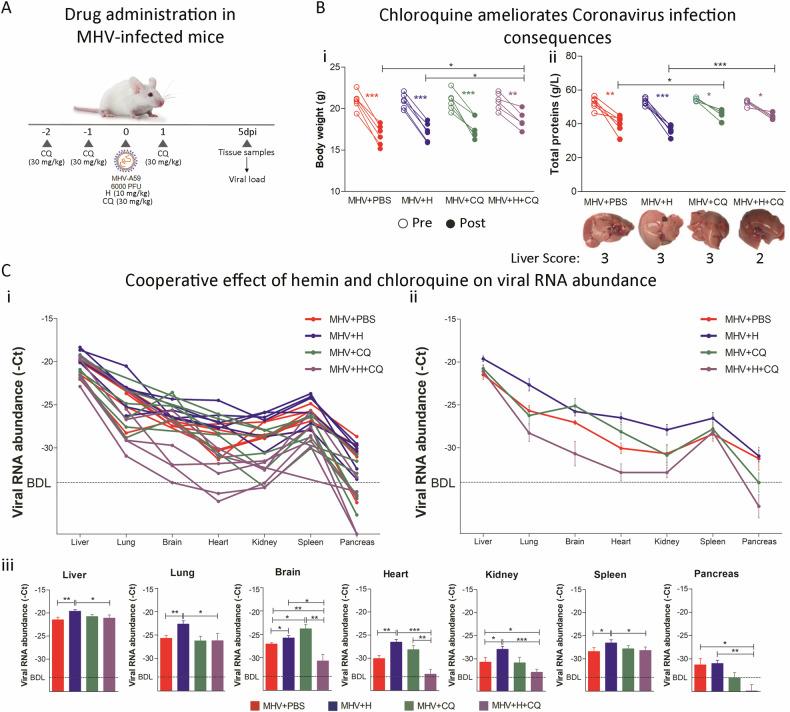 https://cdn.ncbi.nlm.nih.gov/pmc/blobs/b902/11605097/eaac3fcdce86/41419_2024_7247_Fig6_HTML.jpg