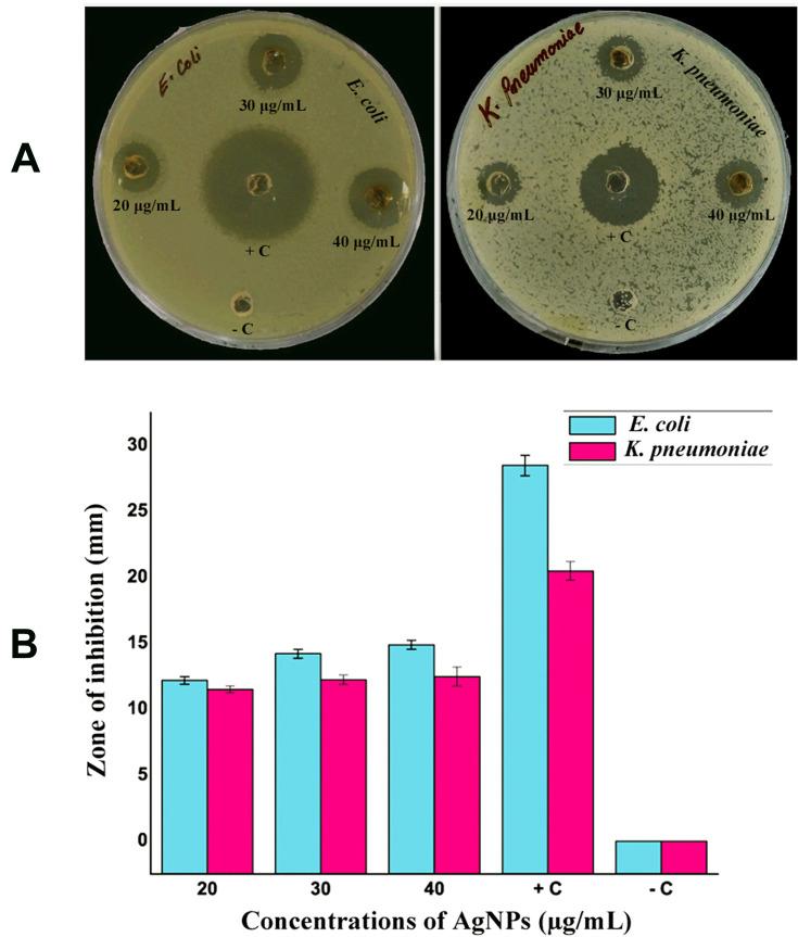 https://cdn.ncbi.nlm.nih.gov/pmc/blobs/b903/7604554/2a4b0b6cf2ed/IJN-15-8295-g0008.jpg