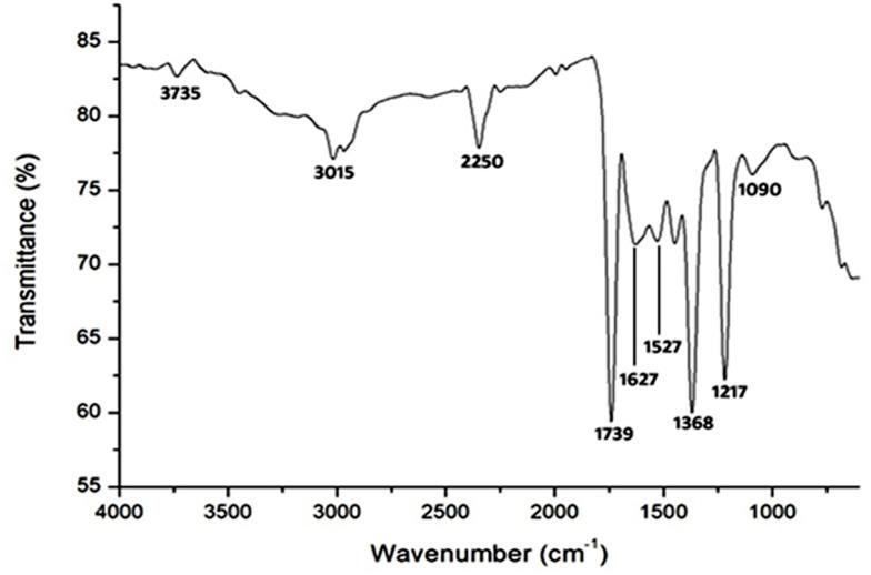 https://cdn.ncbi.nlm.nih.gov/pmc/blobs/b903/7604554/81c9fa845f80/IJN-15-8295-g0003.jpg