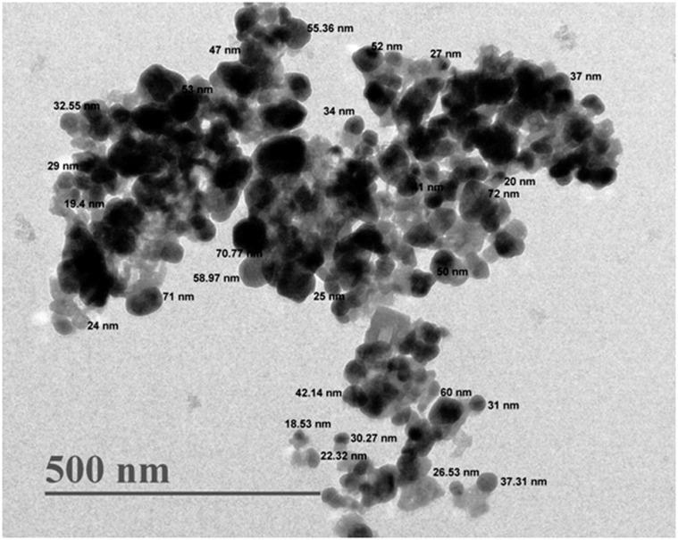 https://cdn.ncbi.nlm.nih.gov/pmc/blobs/b903/7604554/a9f5f1107104/IJN-15-8295-g0006.jpg