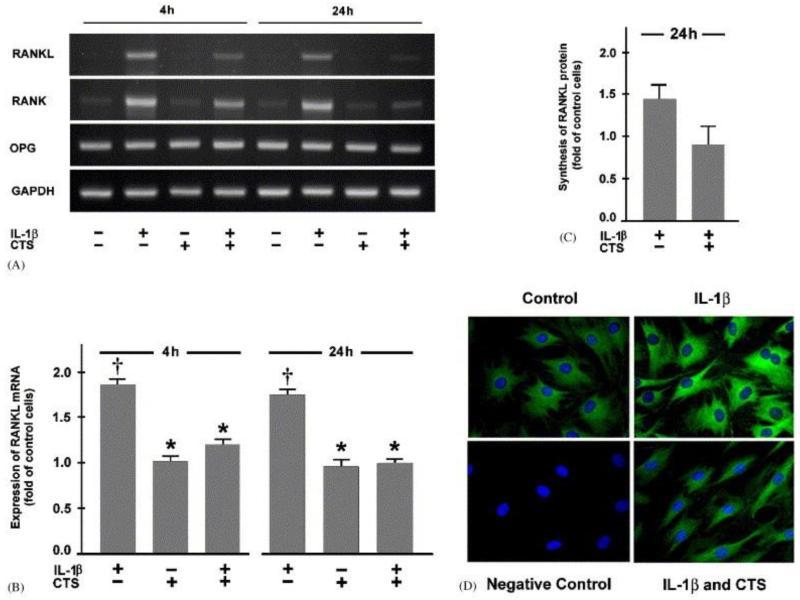 https://cdn.ncbi.nlm.nih.gov/pmc/blobs/b904/4442061/5e81da57c93a/nihms-662822-f0004.jpg