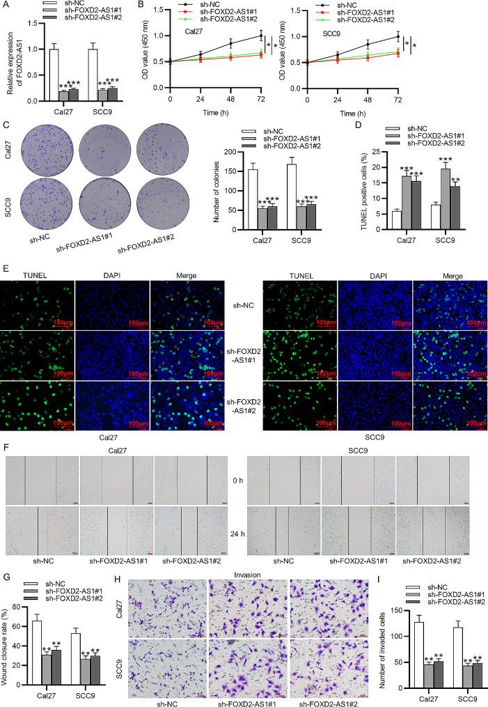 https://cdn.ncbi.nlm.nih.gov/pmc/blobs/b905/11134640/552d6f39a39d/12903_2024_4388_Fig5_HTML.jpg