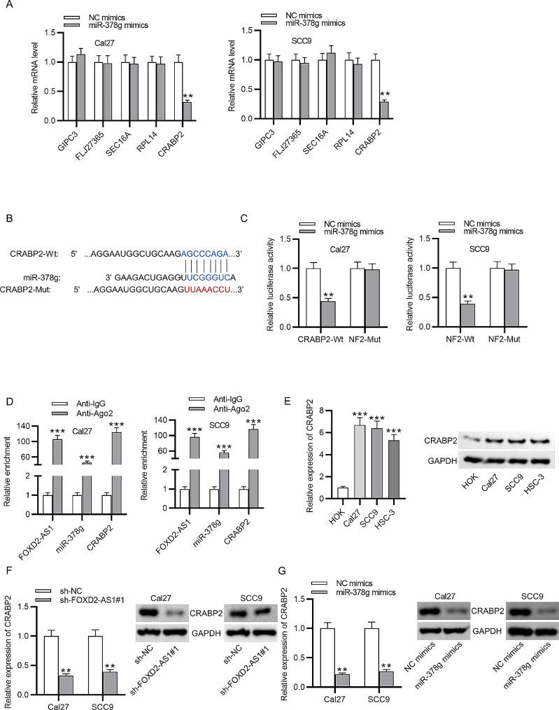 https://cdn.ncbi.nlm.nih.gov/pmc/blobs/b905/11134640/74a0a748259a/12903_2024_4388_Fig3_HTML.jpg