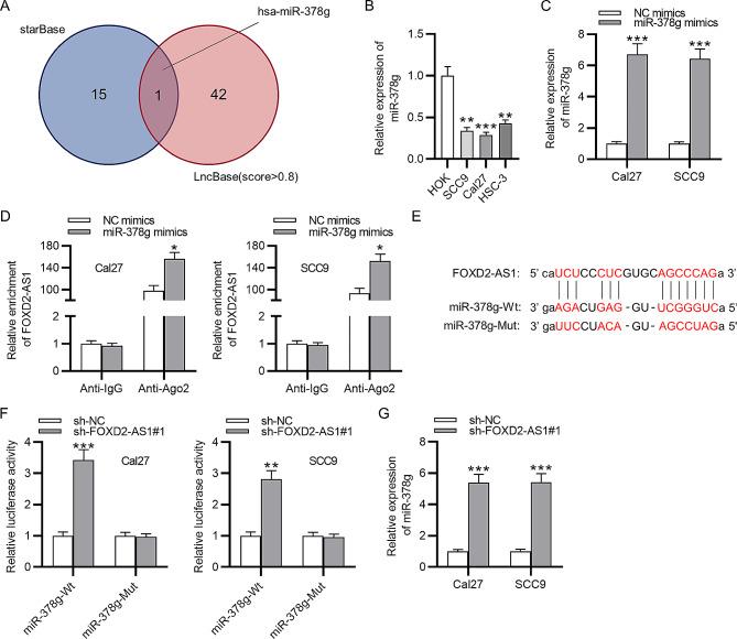 https://cdn.ncbi.nlm.nih.gov/pmc/blobs/b905/11134640/fd4fdd06ffb5/12903_2024_4388_Fig1_HTML.jpg